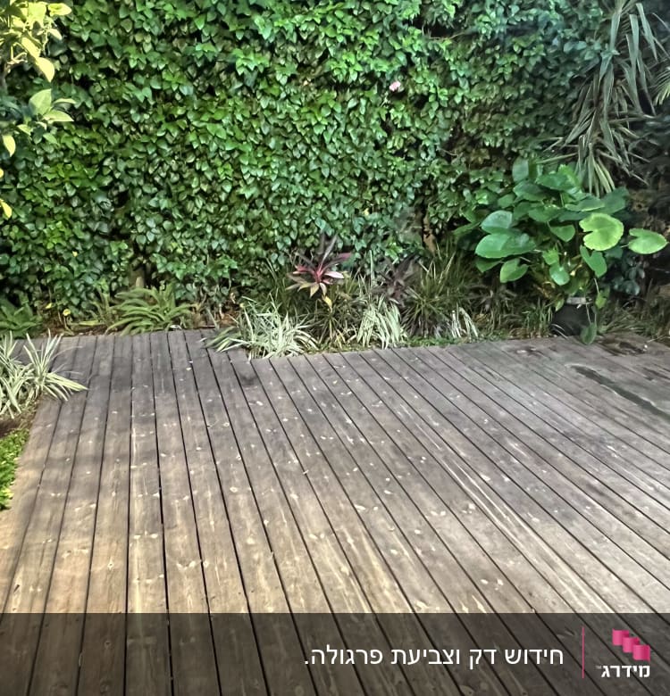 דק עץ בגינה עם צמחייה ירוקה מסביב